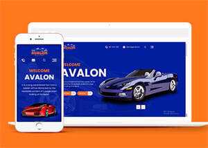 简洁豪华汽车4S店保养网站模板 - 天能资源