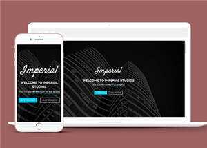 平面设计创意工作室响应式网页模板 - 天能资源