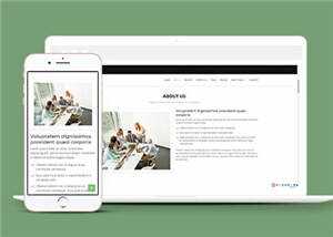 网页设计优化机构响应式网页模板 - 天能资源