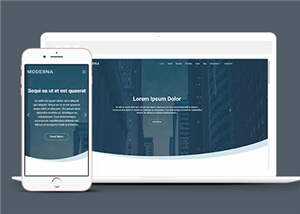 企业业务案例展示响应式网页模板下载 - 天能资源