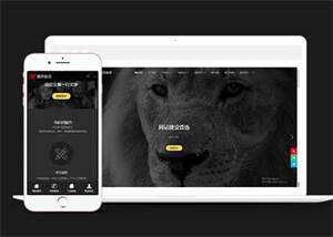 简洁品牌设计建设类网站前端模板 - 天能资源