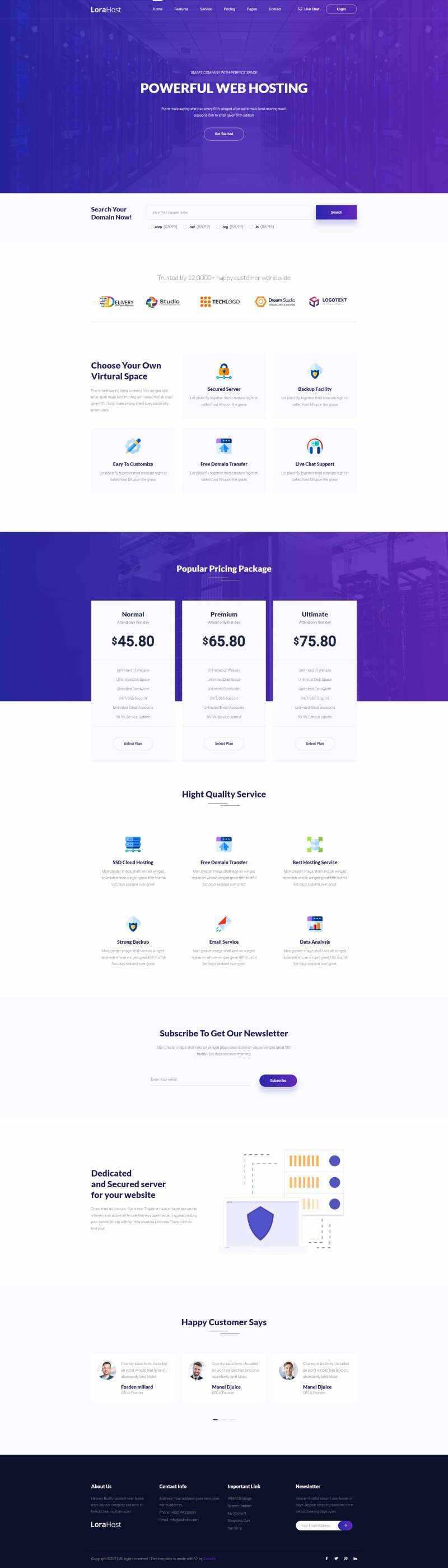 紫色的虚拟主机域名托管服务网站html模板 - 天能资源