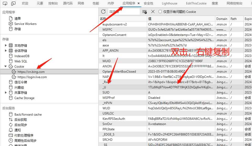 图片[10] - go语言新必应New Bingai聊天机器人 - 天能资源
