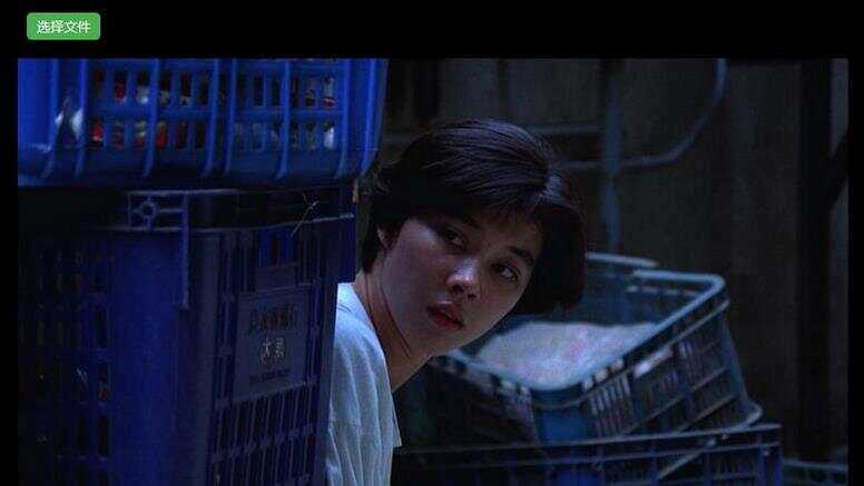 H5视频播放器源码_支持本地选择视频播放，带截图功能 - 天能资源